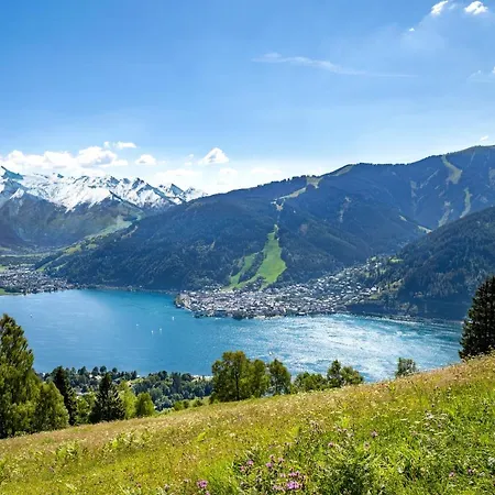 Alpin 6 Daire